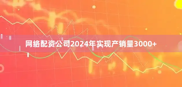 网络配资公司2024年实现产销量3000+