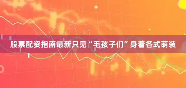 股票配资指南最新只见“毛孩子们”身着各式萌装
